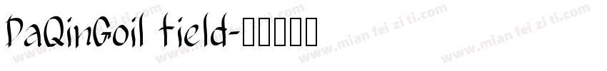 DaQinGoil field字体转换